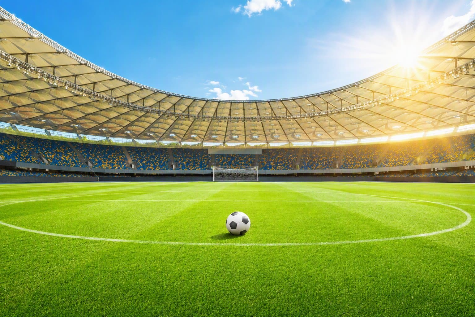 Soccer Victory - illustration, Jake Team LLC