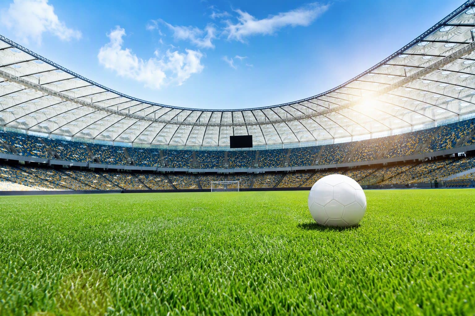 Soccer Victory - illustration, Jake Team LLC